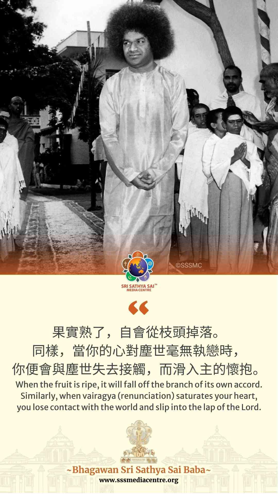 賽的啟發