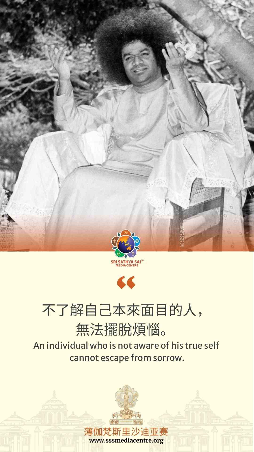 賽的啟發