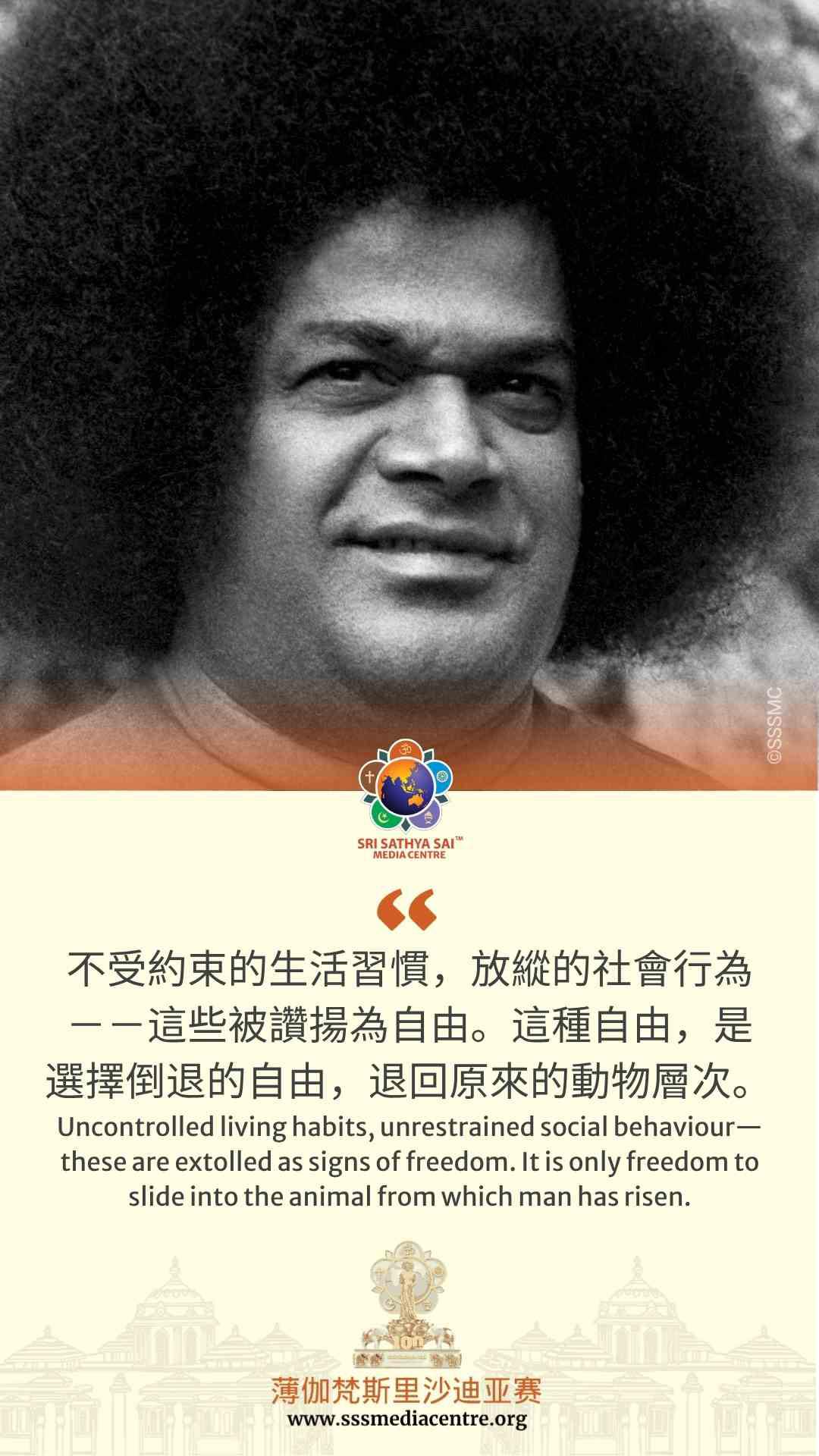 賽的啟發