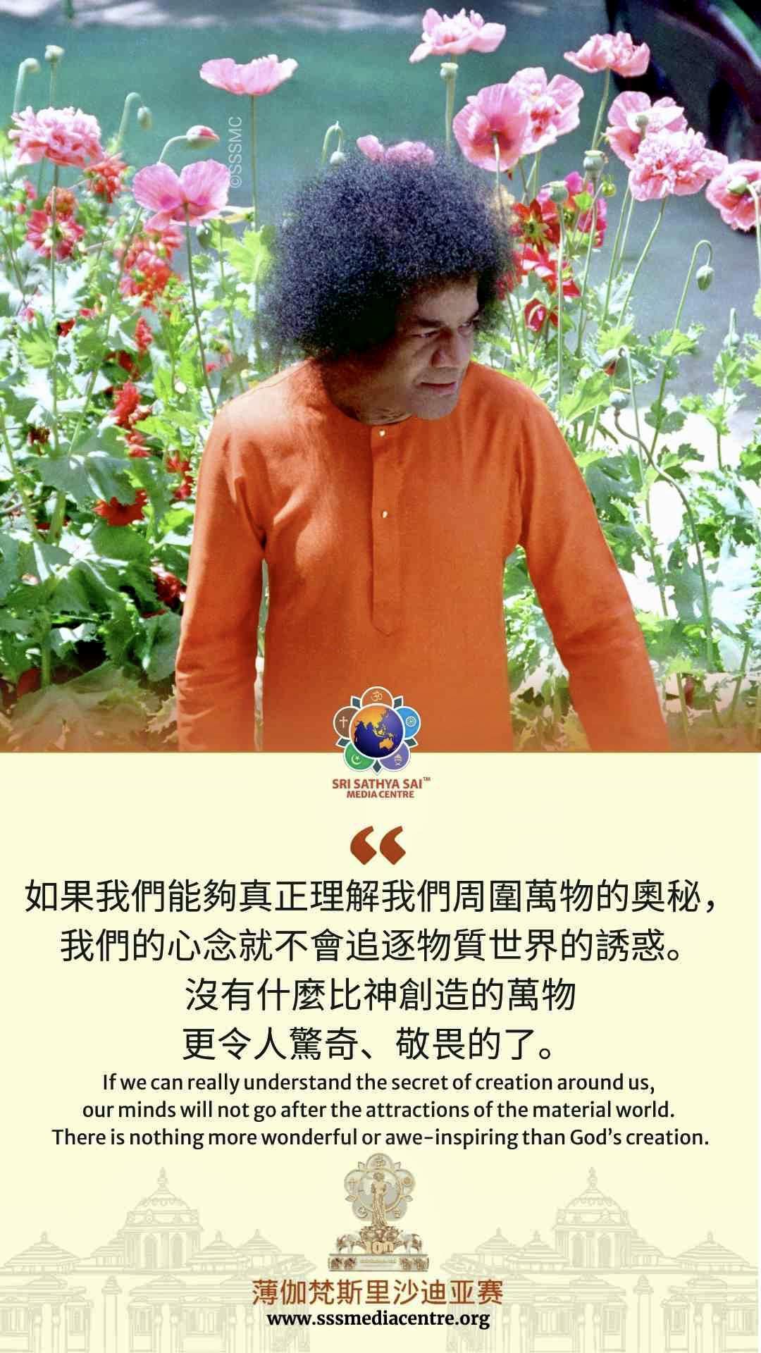 賽的啟發