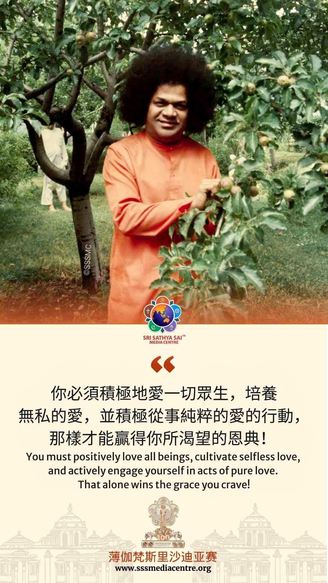 賽的啟發