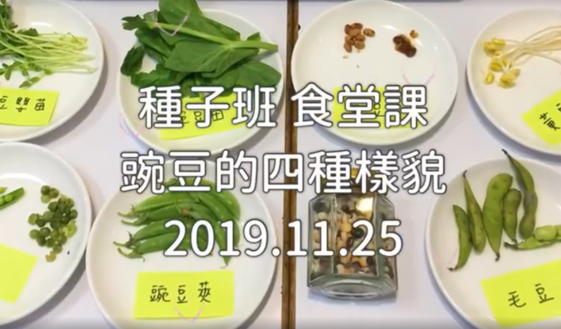 2019/11/25種子班 食堂課《豌豆的四種樣貌》